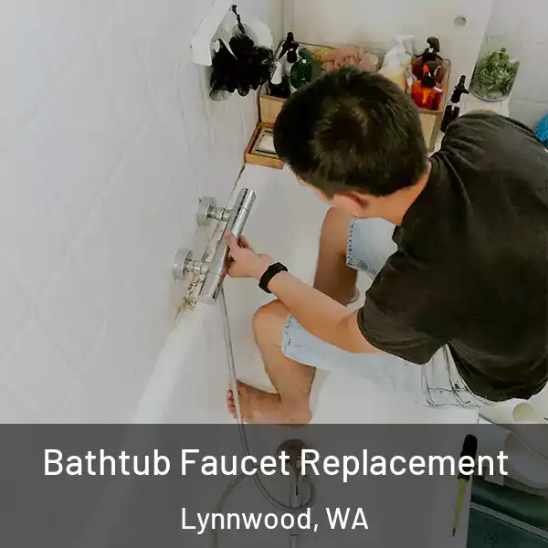  Bathtub Faucet Replacement Lynnwood, WA