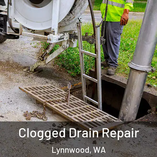  Clogged Drain Repair Lynnwood, WA