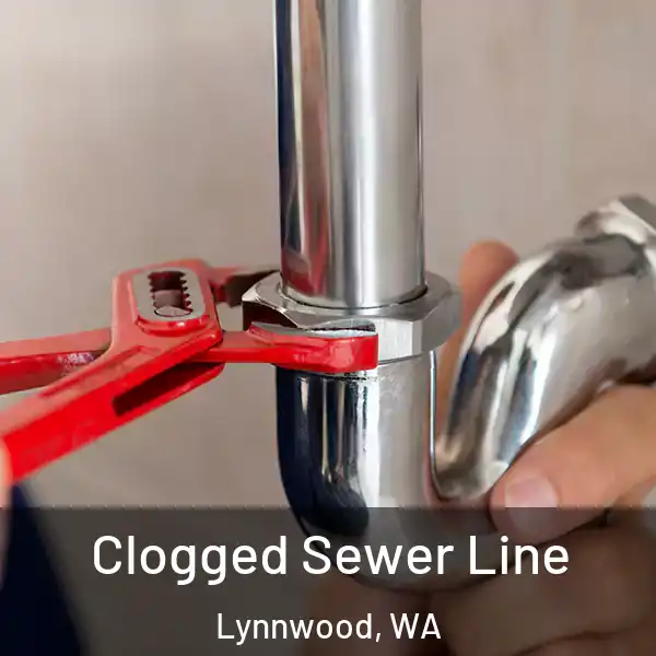 Clogged Sewer Line Lynnwood, WA
