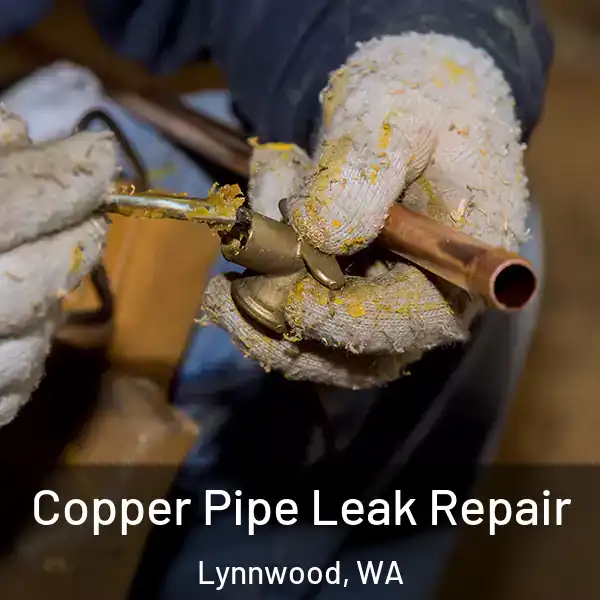  Copper Pipe Leak Repair Lynnwood, WA