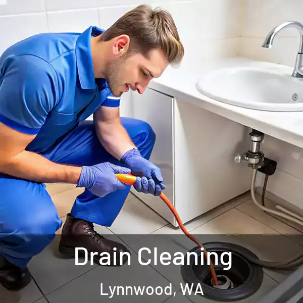  Drain Cleaning Lynnwood, WA