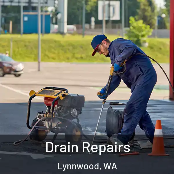  Drain Repairs Lynnwood, WA
