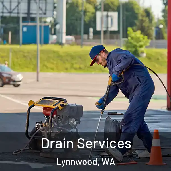  Drain Services Lynnwood, WA