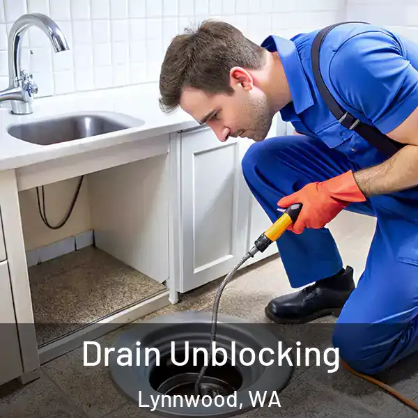  Drain Unblocking Lynnwood, WA