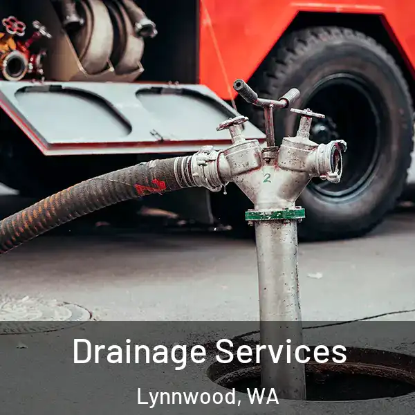  Drainage Services Lynnwood, WA