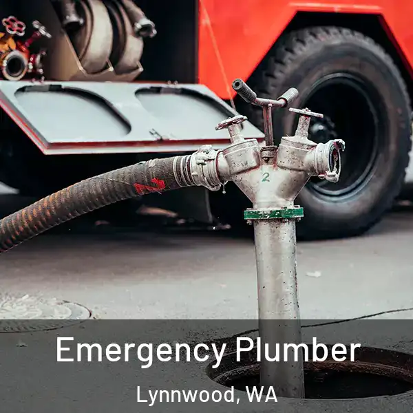  Emergency Plumber Lynnwood, WA