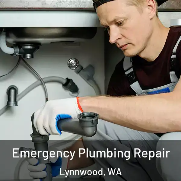  Emergency Plumbing Repair Lynnwood, WA