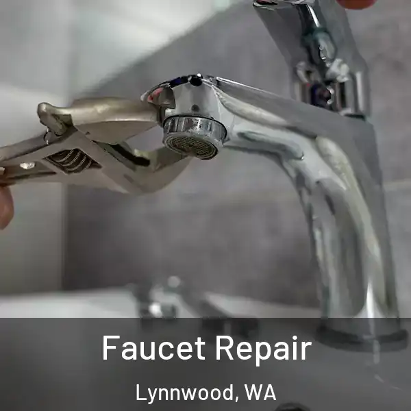  Faucet Repair Lynnwood, WA