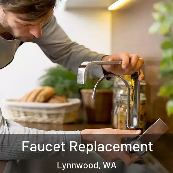  Faucet Replacement Lynnwood, WA