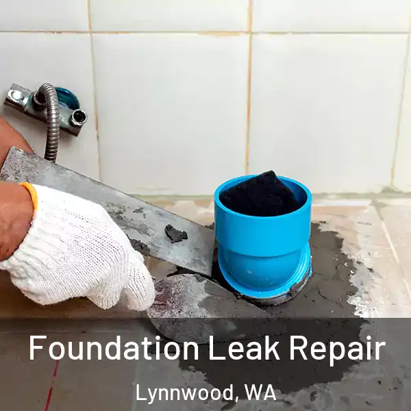  Foundation Leak Repair Lynnwood, WA