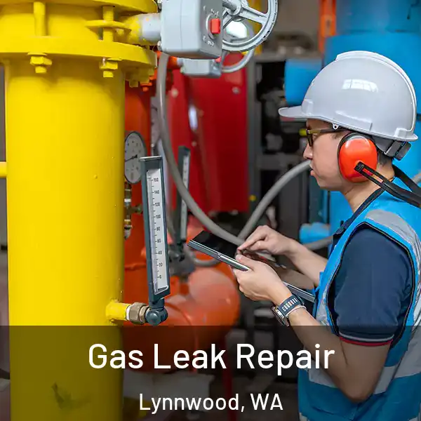  Gas Leak Repair Lynnwood, WA