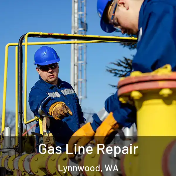  Gas Line Repair Lynnwood, WA