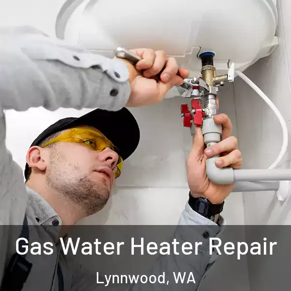  Gas Water Heater Repair Lynnwood, WA