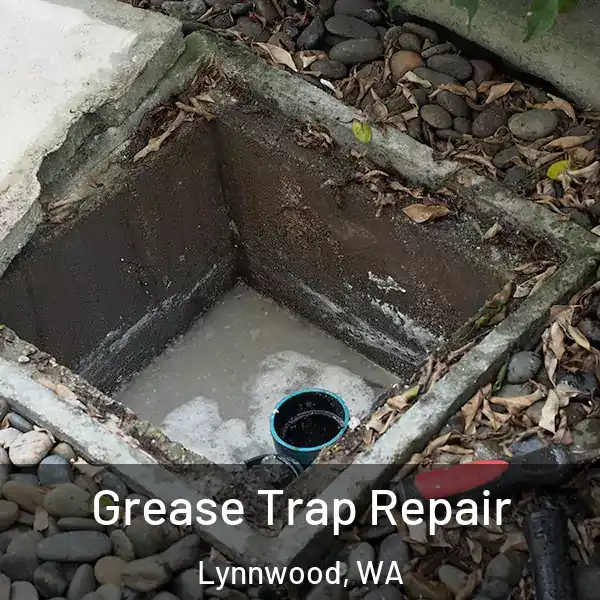  Grease Trap Repair Lynnwood, WA