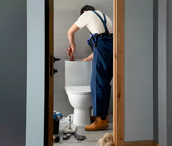 Professional Plumbers for Toilet Bowl Replacement in Lynnwood, WA: Schedule Affordable Toilet Replacement Services With Us