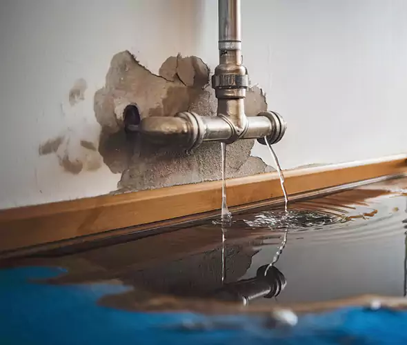 Professional Water Damage Restoration Experts in Lynnwood, WA — Fast, Reliable & Certified