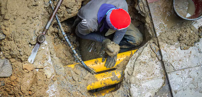 Clogged Drain Repair in Lynnwood, WA