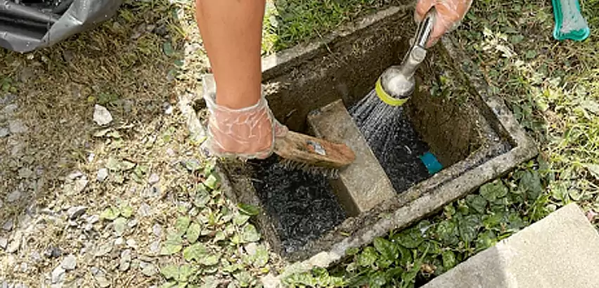 Professional Grease Trap Cleaning Services in Lynnwood, WA