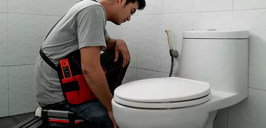Toilet Repair in Lynnwood