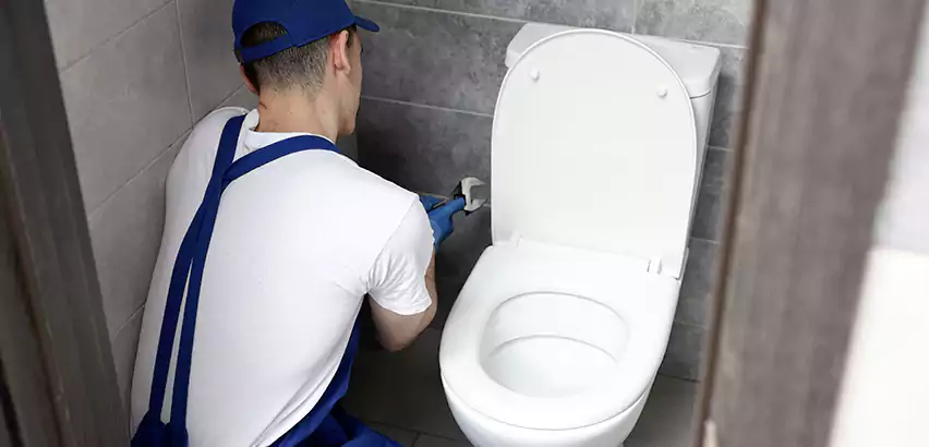 Toilet Lid Replacement in Lynnwood