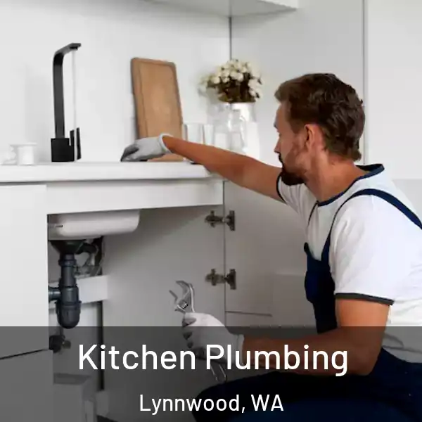  Kitchen Plumbing Lynnwood, WA