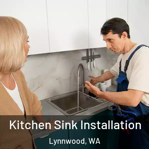  Kitchen Sink Installation Lynnwood, WA