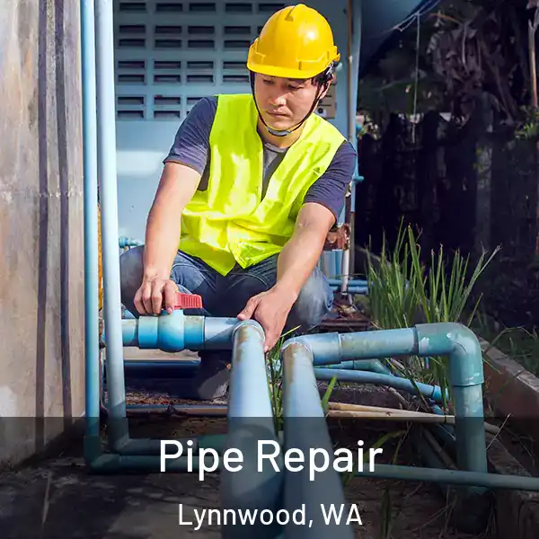  Pipe Repair Lynnwood, WA