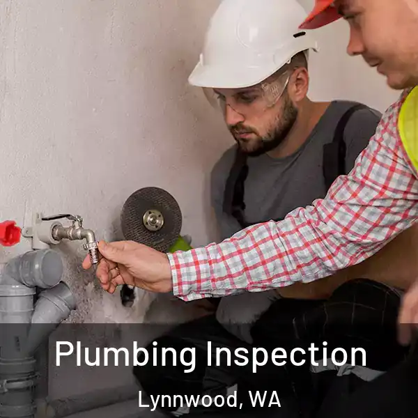  Plumbing Inspection Lynnwood, WA