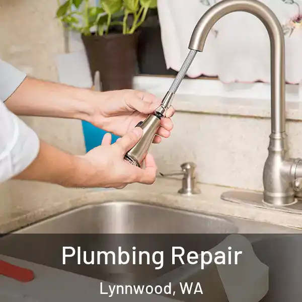  Plumbing Repair Lynnwood, WA