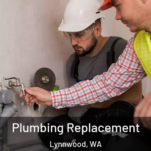  Plumbing Replacement Lynnwood, WA