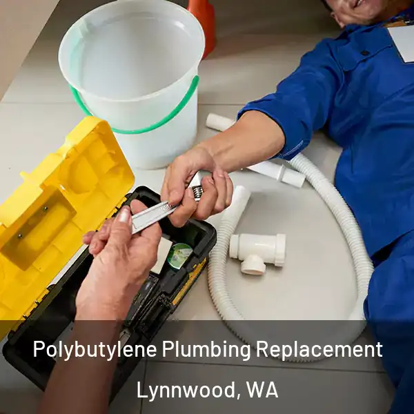  Polybutylene Plumbing Replacement Lynnwood, WA