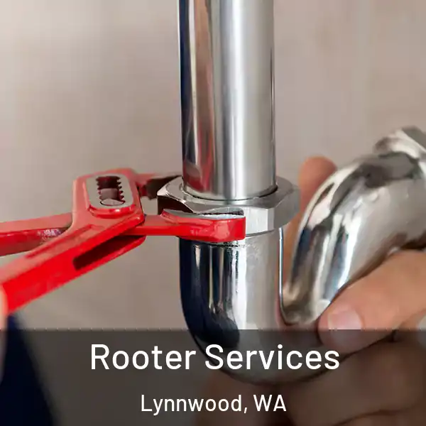  Rooter Services Lynnwood, WA