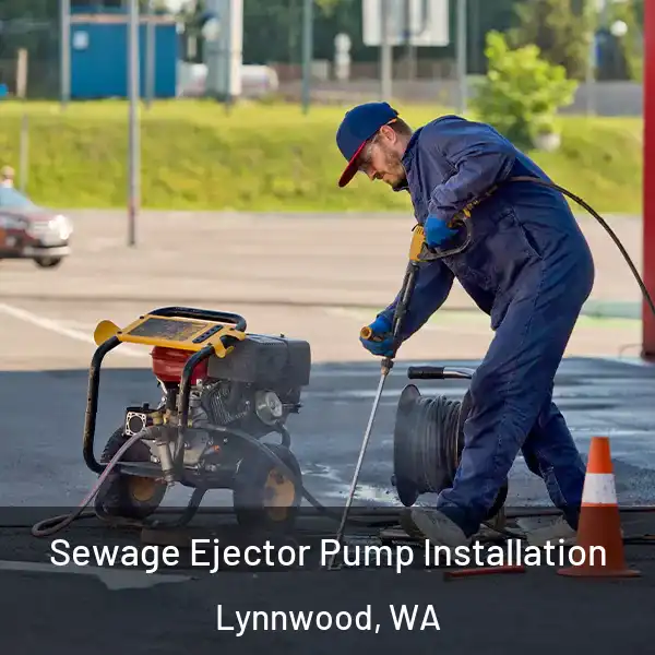  Sewage Ejector Pump Installation Lynnwood, WA