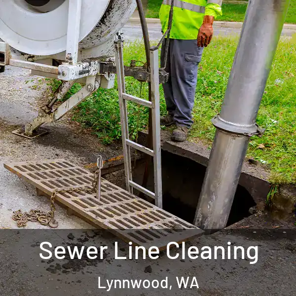  Sewer Line Cleaning Lynnwood, WA