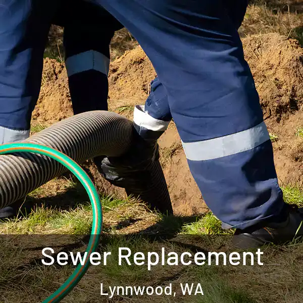  Sewer Replacement Lynnwood, WA