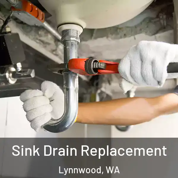  Sink Drain Replacement Lynnwood, WA