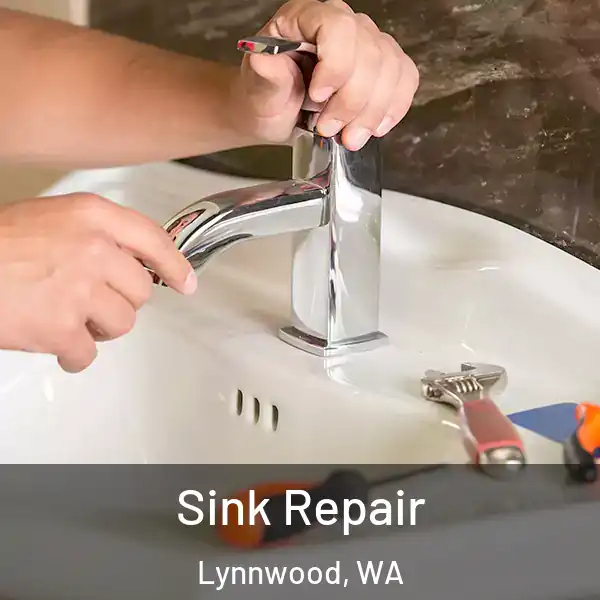  Sink Repair Lynnwood, WA