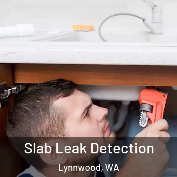  Slab Leak Detection Lynnwood, WA
