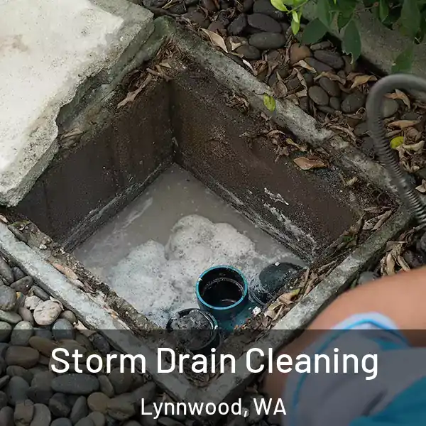 Storm Drain Cleaning Lynnwood, WA