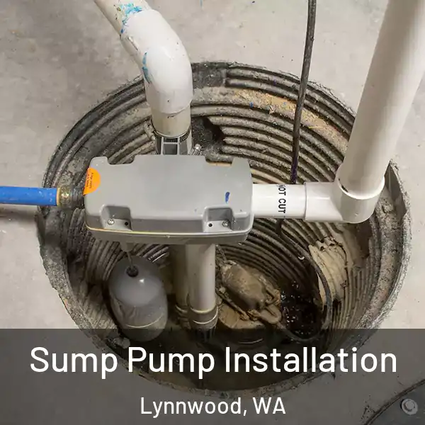  Sump Pump Installation Lynnwood, WA