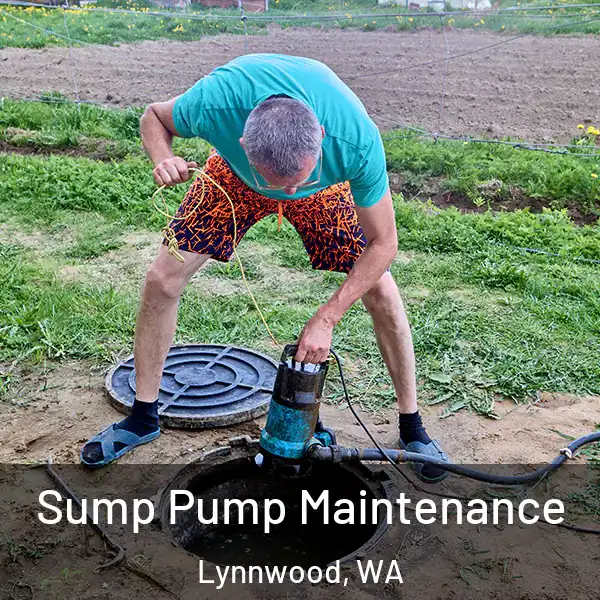 Sump Pump Maintenance Lynnwood, WA