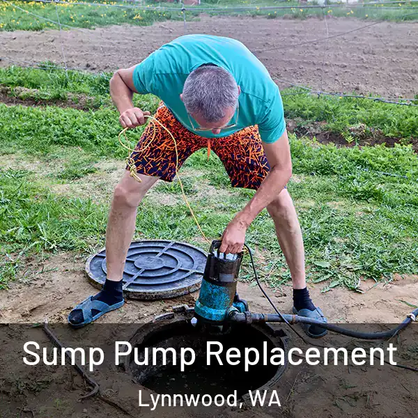  Sump Pump Replacement Lynnwood, WA