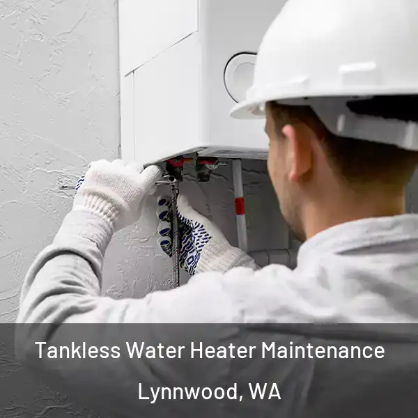  Tankless Water Heater Maintenance Lynnwood, WA