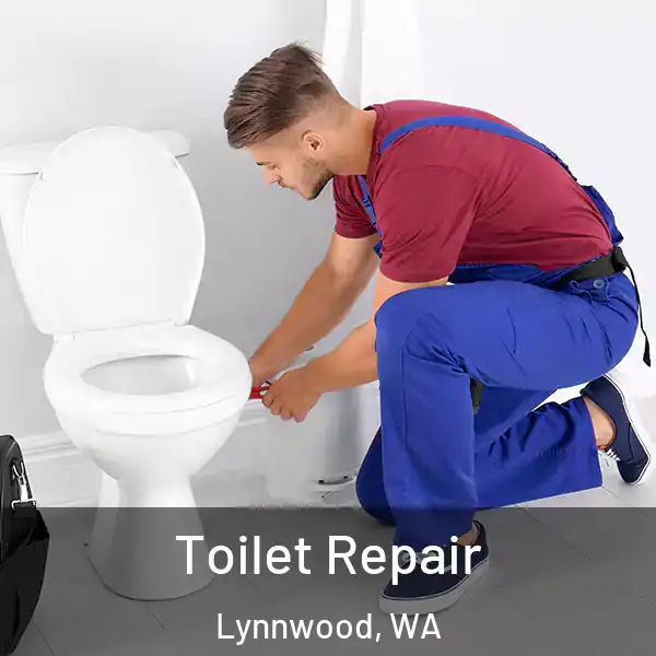  Toilet Repair Lynnwood, WA