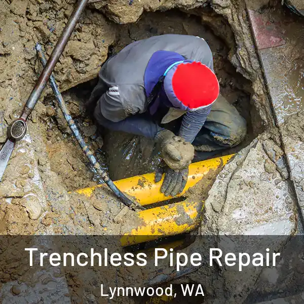  Trenchless Pipe Repair Lynnwood, WA