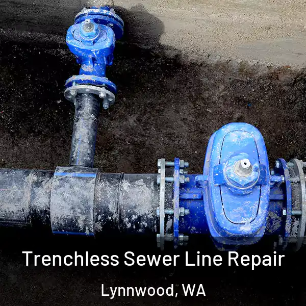  Trenchless Sewer Line Repair Lynnwood, WA