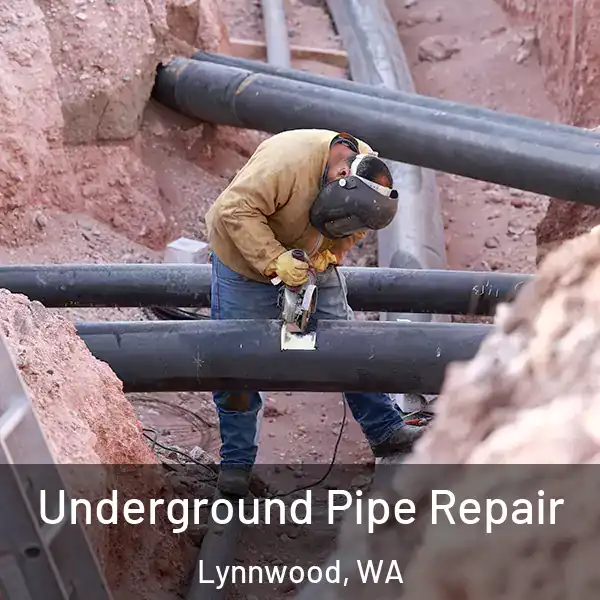  Underground Pipe Repair Lynnwood, WA