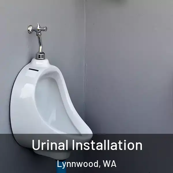  Urinal Installation Lynnwood, WA