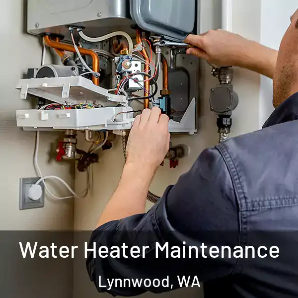  Water Heater Maintenance Lynnwood, WA