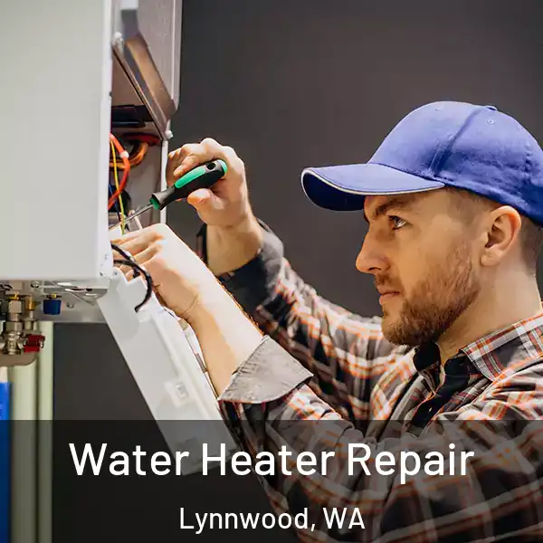  Water Heater Repair Lynnwood, WA